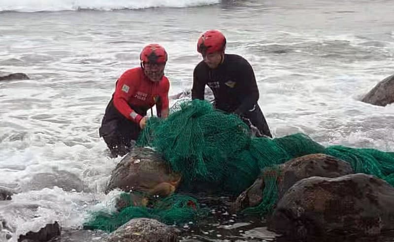 제주 서귀포 해안서 폐그물에 갇힌 멸종위기 붉은바다거북 구조
