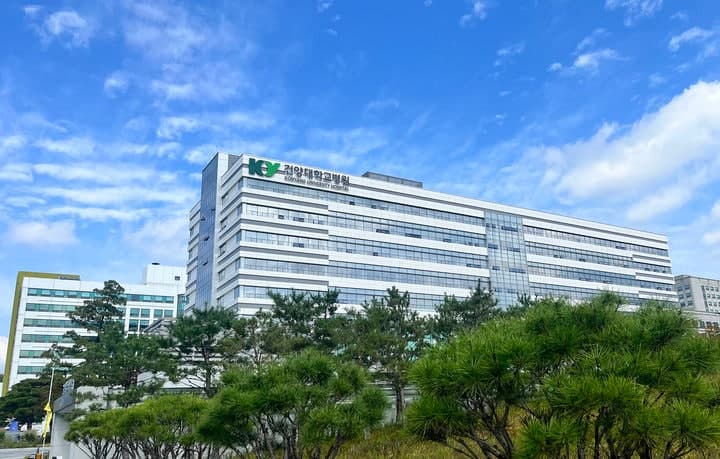 교통사고로 중상 입은 31주 차 임신부, 병원 수용 거부 끝에 대전서 무사 분만