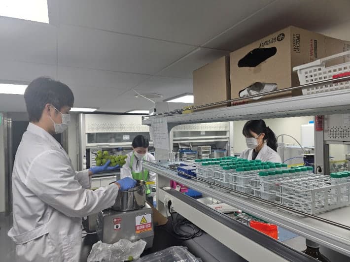 광주 시중 유통 농산물 잔류농약 검사…부적합 1.5톤 압류·폐기