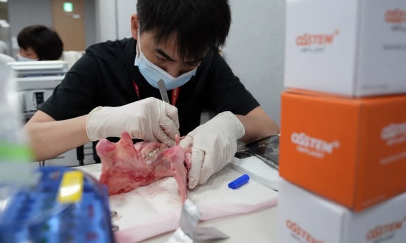 오스템임플란트, 중국 치과의사 280명 서울 초청해 임상 교육 강화