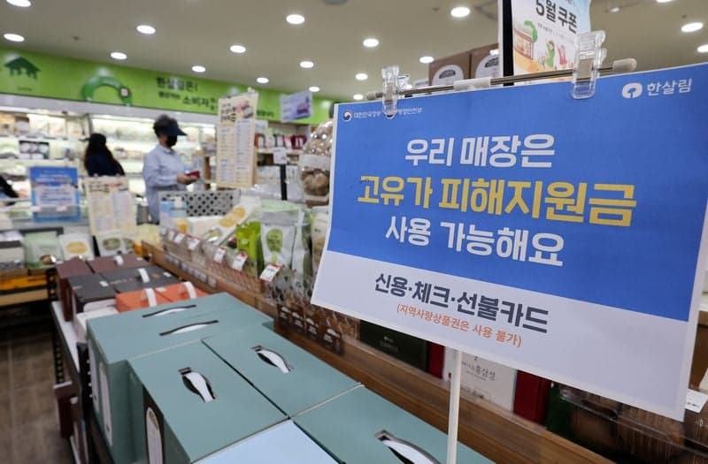 제주 고유가 피해지원금 이의신청 5119건 인용… 12억 4000만 원 추가 지급