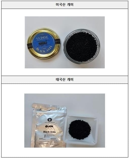 넷플릭스 '흑백요리사' 출연 셰프 식당, 식용 불가 개미 사용해 징역 1년 구형