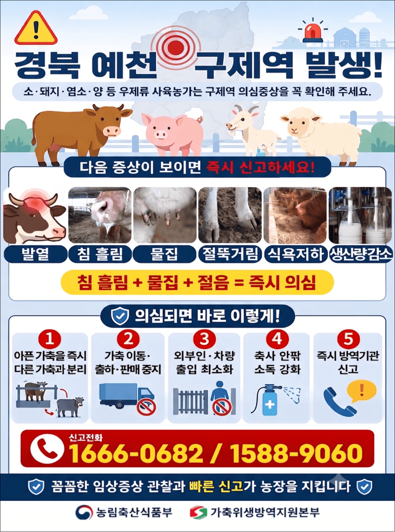 경북 예천 구제역 방역 안정세…8천여 농가 백신 접종 완료 후 이동제한 해제 검토