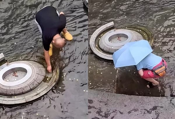 청계천 '행운의 동전' 싹쓸이한 얌체족... 명백한 도둑질 논란