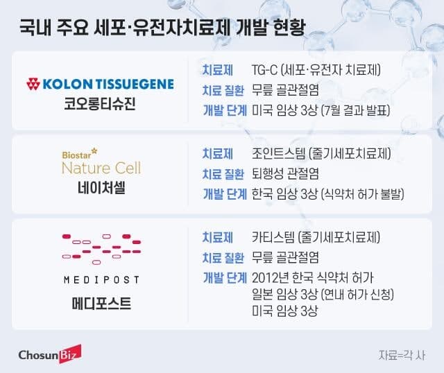 코오롱티슈진 美 3상 고배…'위약 효과' 넘고 10월 반등 노린다