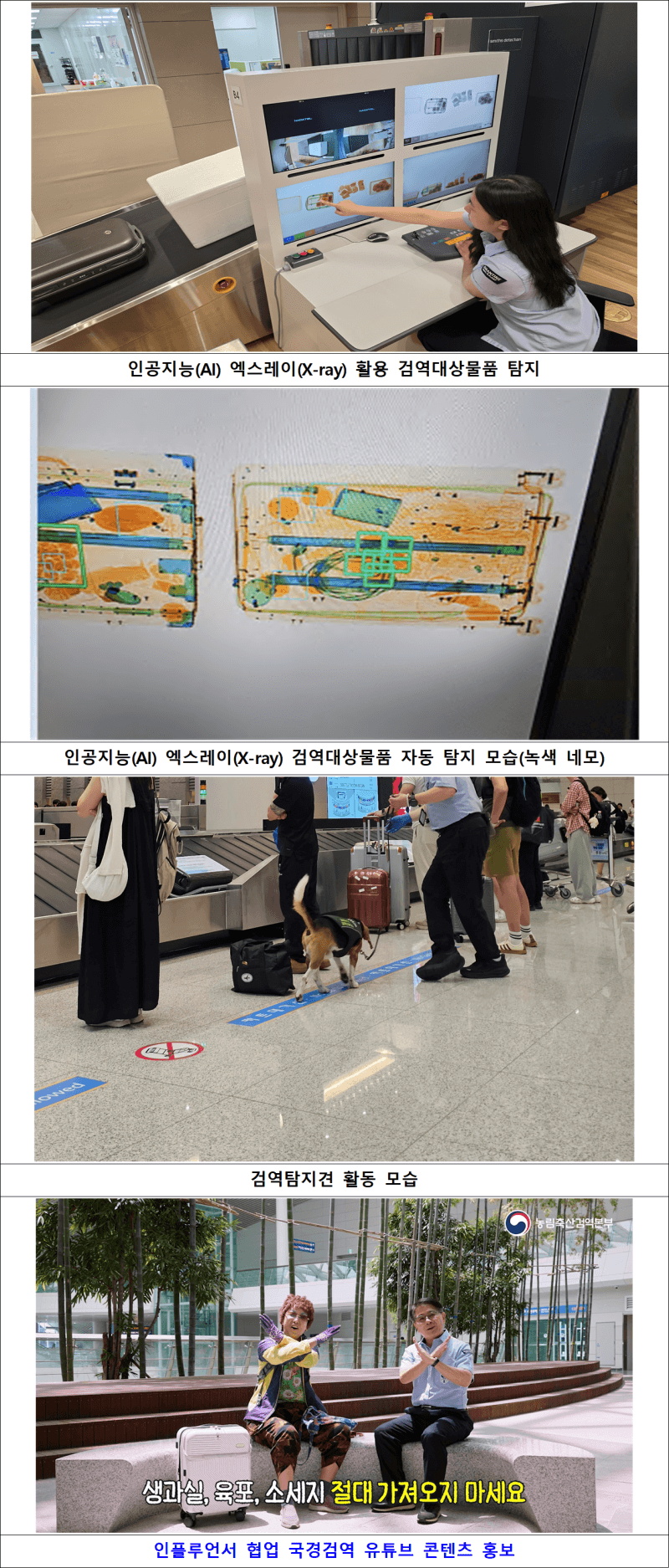 여름 휴가철 해외 농축산물 특별검역…AI 엑스레이 동원해 불법 반입 차단