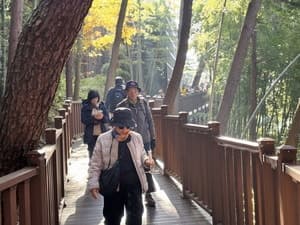 진양호공원, 르네상스 사업으로 남부권 대표 관광명소 재탄생