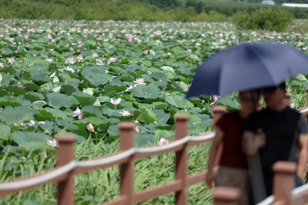 전남광주 광양에 첫 폭염중대경보 발령…전국 3번째 사례