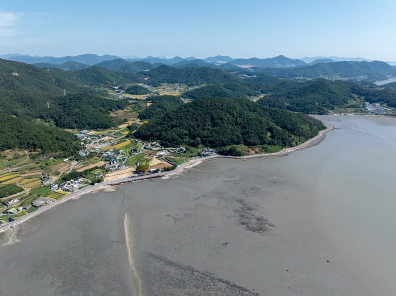 황해 갯벌 보전 위한 ‘부산선언’ 채택…한·중·북 잇는 다국적 협력 체계 구축