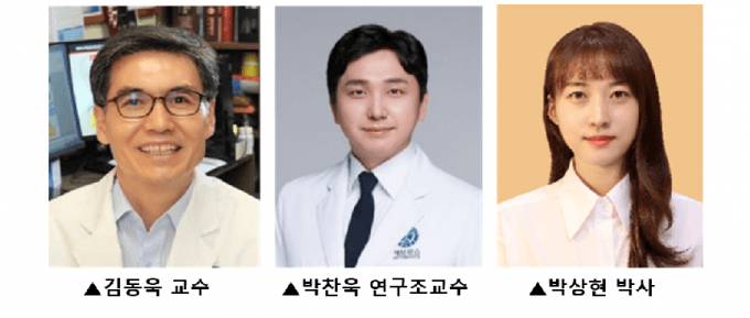 서울대병원, 동물 유래 판막 '줄기세포 재세포화' 세계 최초 성공