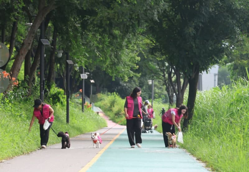 강남구, 반려견과 함께 환경 지키는 '댕댕플로깅 자원봉사단' 출범