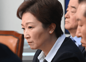 이언주 의원 합성음란물 유포한 60대 기업인 검찰 송치