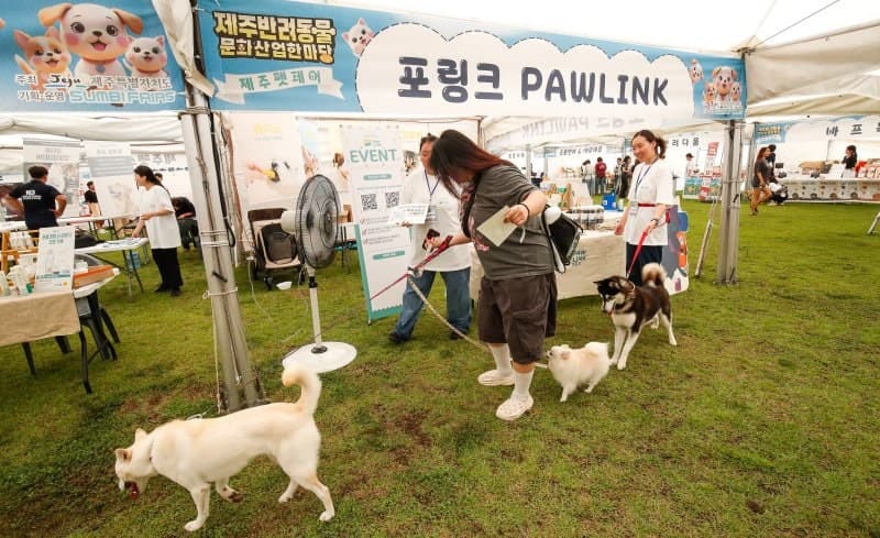 제주 등록 반려견 7만 마리 돌파…펫푸드·펫테크 신성장 동력 육성