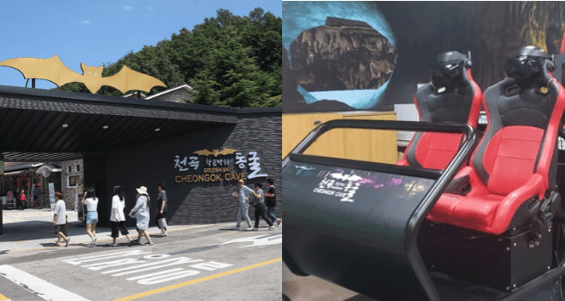 폭염 속 도심 피서지 '천곡황금박쥐동굴' 방문객 17% 급증