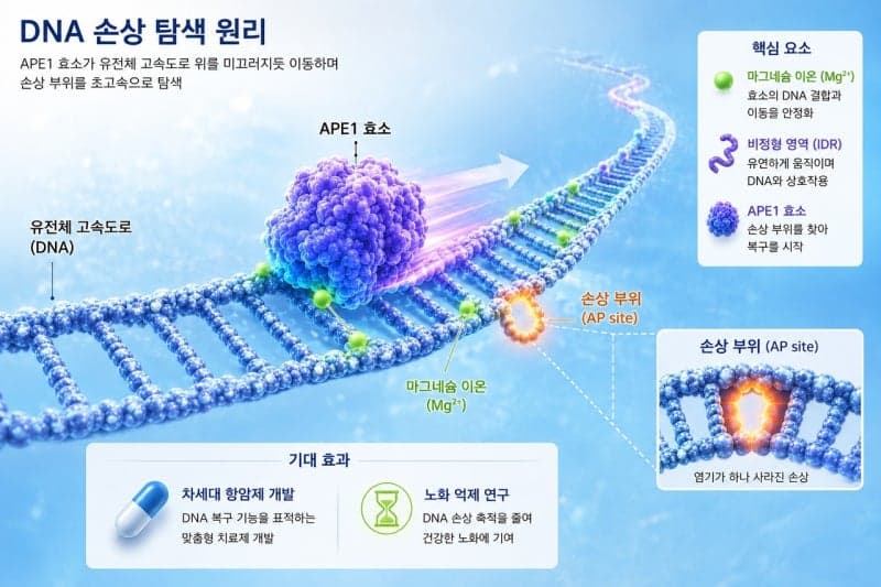 KAIST, 암세포 스스로 면역 공격 유도하는 나노입자 항암 플랫폼 개발