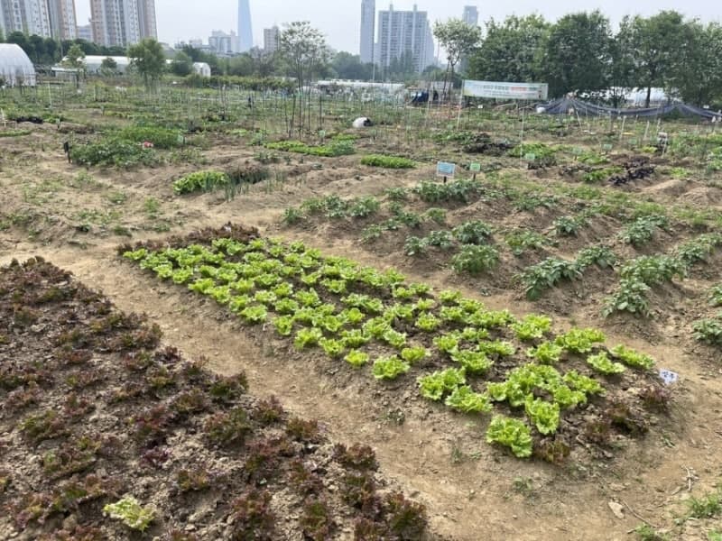 송파구, 여성농업인 특수건강검진 지원…84명 선착순 모집