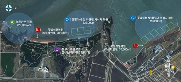 충남 서천갯벌, 민관 협력으로 260억 규모 블루카본 거점 재탄생