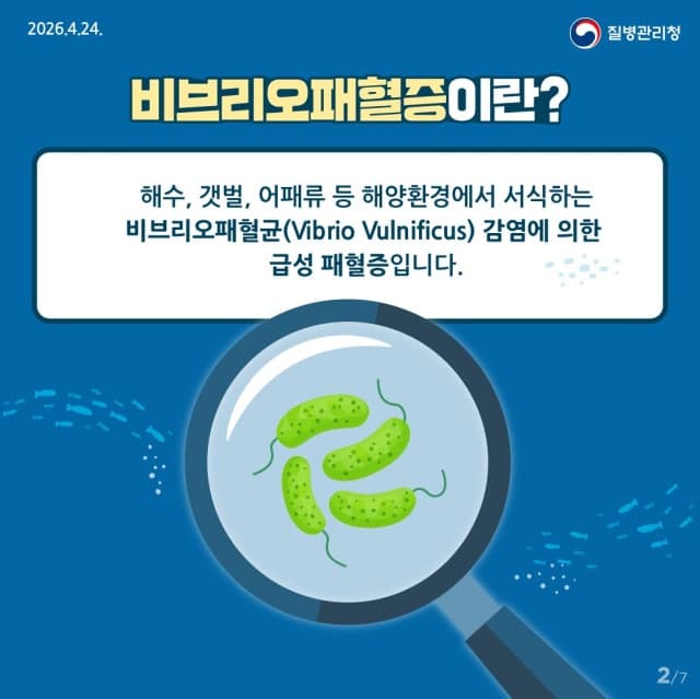 전북서 올해 첫 비브리오패혈증 환자 발생…치명률 50% 주의