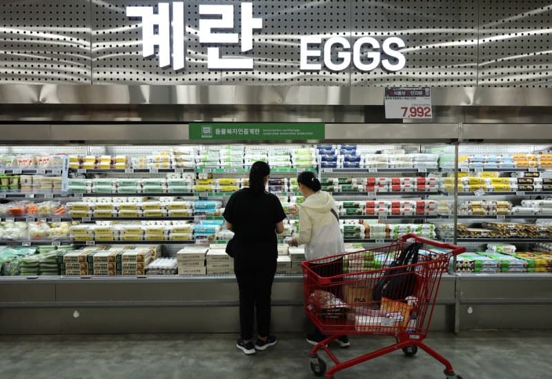 농림축산식품부, 계란값 담합한 대한산란계협회 비영리법인 설립 허가 취소