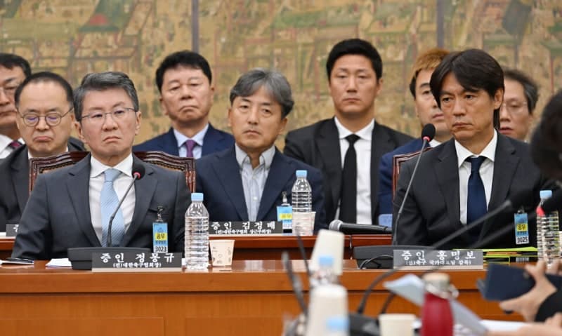 홍명보·정몽규, 국회 청문회서 '빵집 면접'·연봉 38억 의혹 전면 부인