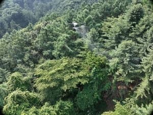 경기도, 소나무재선충병 확산에 드론 활용한 맞춤형 광역방제 추진