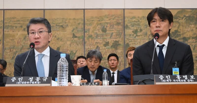 고대 카르텔·빵집 면접 논란…국회, 축구협회 난맥상 집중 추궁
