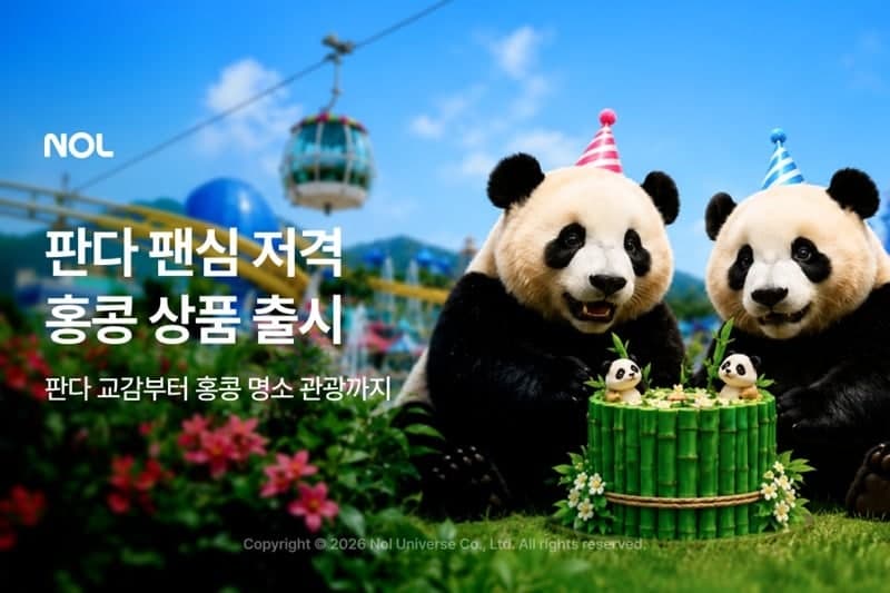 "판다 덕후 모여라"…놀(NOL), 홍콩 쌍둥이 판다 생일 패키지 출시