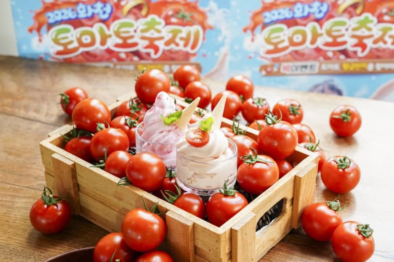 제22회 화천 토마토 축제 개막, 이색 토마토 아이스크림 인기몰이