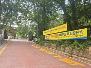 강북구, 여름철 우이동 계곡 불법 주정차 집중 단속 실시