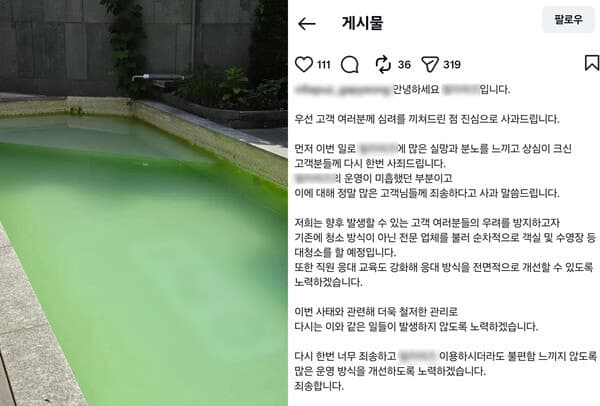 100만원 넘는 가평 풀빌라, 녹조 수영장에 시설 엉망…이용객 분통