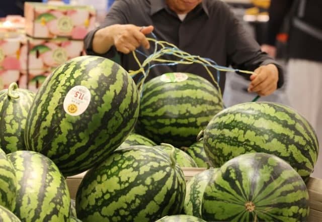 7월 농축산물 물가 0.5% 상승 그쳐…수박·토마토 가격 안정세
