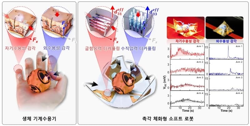 GIST, 사람 피부처럼 접촉과 굽힘 구분하는 '촉각 체화형 소프트 로봇' 개발