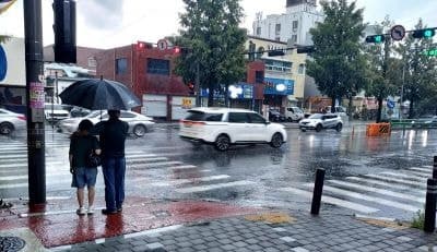 전국 덮친 극한 폭염에 '폭염중대경보' 발효…소나기 내려도 체감 더위 심화