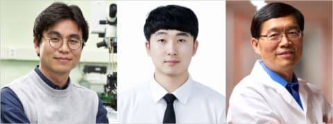 부산대·Caltech 연구팀, 고신뢰도 산소포화도 광음향 영상 기술 개발