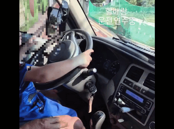 어린이보호구역서 5세 아이에게 운전대 맡긴 할아버지 영상 논란