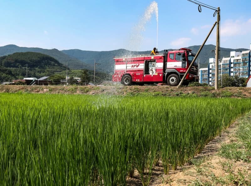 폭염과 가뭄에 말라가는 영남…청도·산청 제한급수 비상