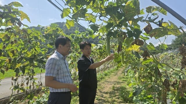 강원농협, 폭염 속 농업인 안전과 농작물 피해 예방 현장경영 강화
