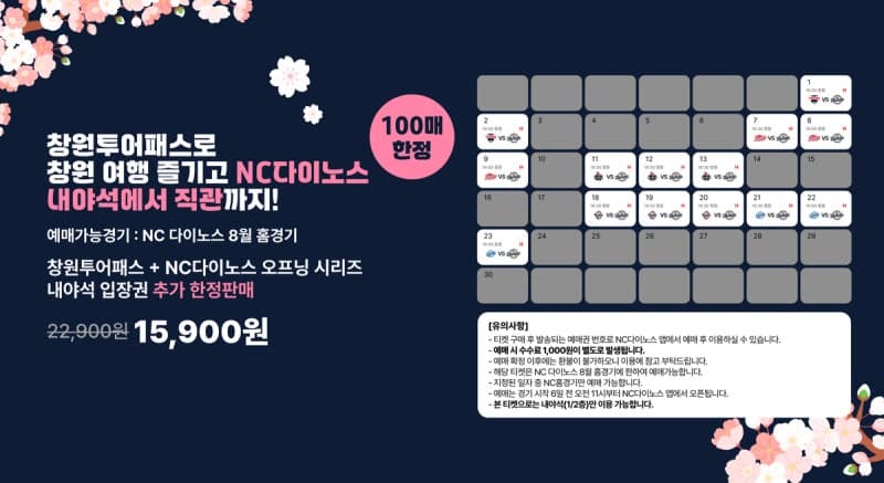 창원투어패스 48시간권과 NC다이노스 야구 관람을 한 번에 즐긴다