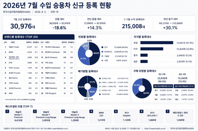테슬라 6개월 연속 수입차 1위 질주…BYD는 일본 브랜드 추월