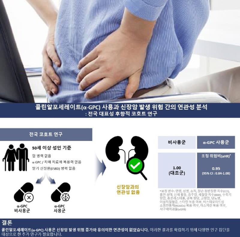 치매 치료제 콜린알포세레이트, 신장암 위험 높이지 않지만 예방 효과는 없어
