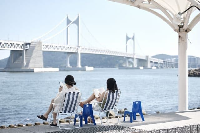 세계 최대 도서관 올림픽 '2026 부산 WLIC' 10일 개막