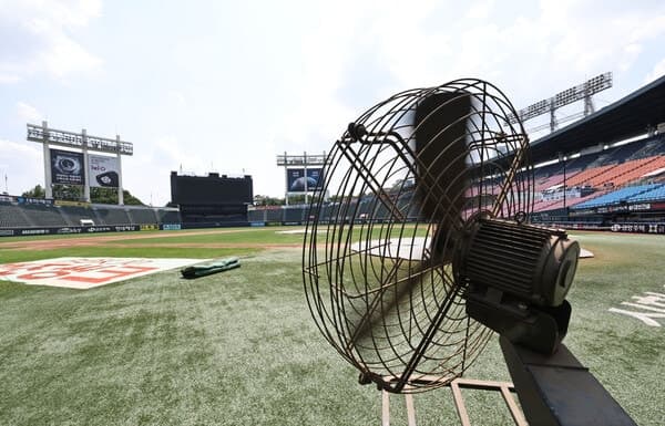 극한 폭염에 프로야구 사상 첫 전 경기 취소…KBO 긴급 대책 마련