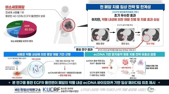 단국대 연구진, 폐암 재발 부르는 표적항암제 내성 원인 규명