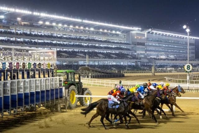 한국마사회, 8월 7일부터 5주간 야간경마 시행… 금·토요일 운영