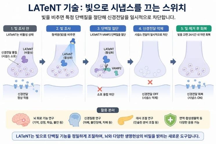 DGIST, 빛으로 뇌 신경 껐다 켠다…신개념 광제어 플랫폼 'LATeNT' 개발