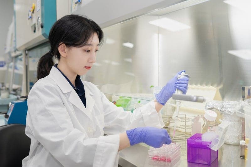 한국콜마, 국내 최초 산호초 안전성 검증 체계 구축…친환경 선케어 공략