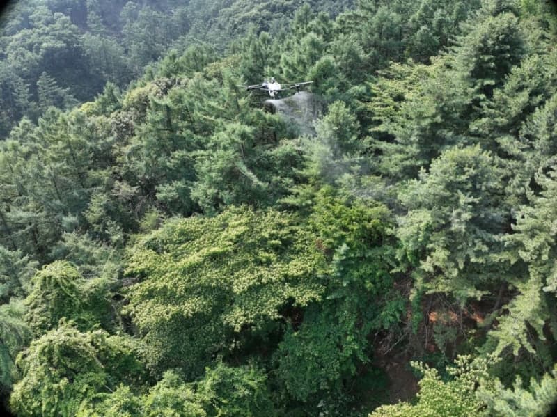 양평군, 경기도 첫 소나무재선충병 특별방제구역 지정