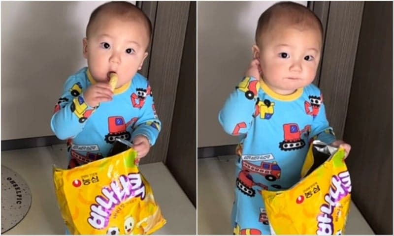 2600만 명 홀린 ‘바나나킥 아기’에게 농심이 보낸 특별한 선물