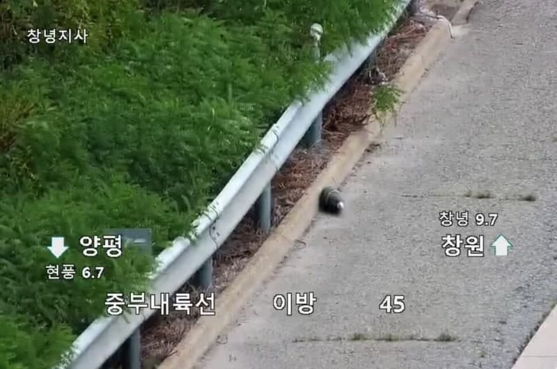 중부내륙고속도로서 발견된 포탄 추정 물체, 살상력 없는 모의탄으로 확인