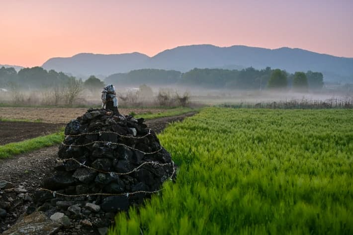 충북도, '자석벼루장' 신재민 기능보유자 인정 예고 및 '옥천 마을 탑제' 신규 지정